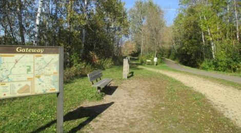 News from the Gateway Brown's Creek Trail